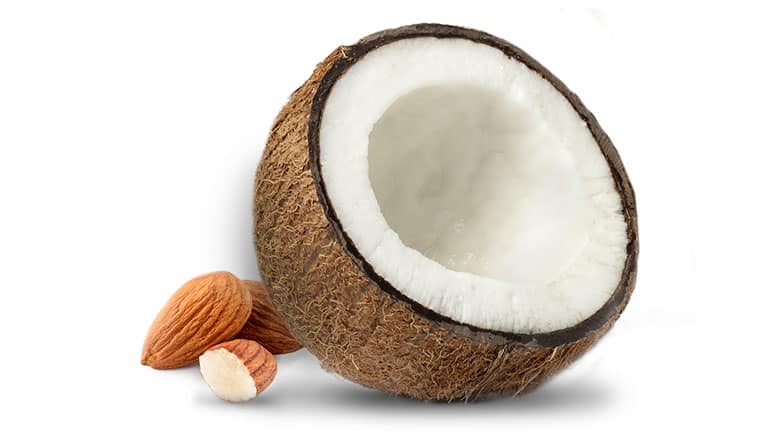 Coconut shell and almonds